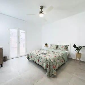 Hostal Cisne Guest house